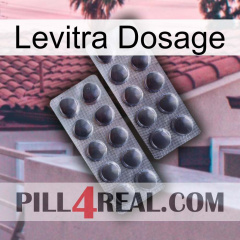 Levitra Dosage 31